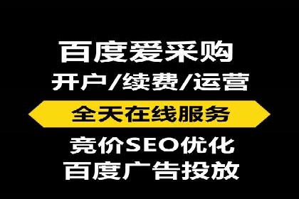 行业领先企业的sem竞价策略：成功案例剖析